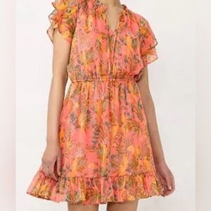 LC Lauren Conrad Ruffle Sleeve Fit & Flare Dress | BAHIA BIRDS  3X